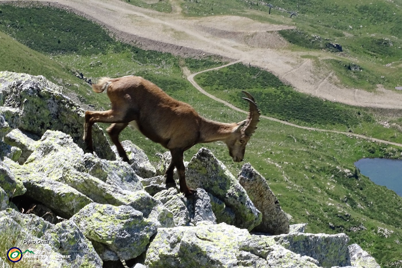 39 Scendono su rocce con vista sulla Val Carisole.JPG